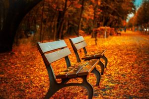 Read more about the article Les couleurs de l’automne: The Colors of Fall