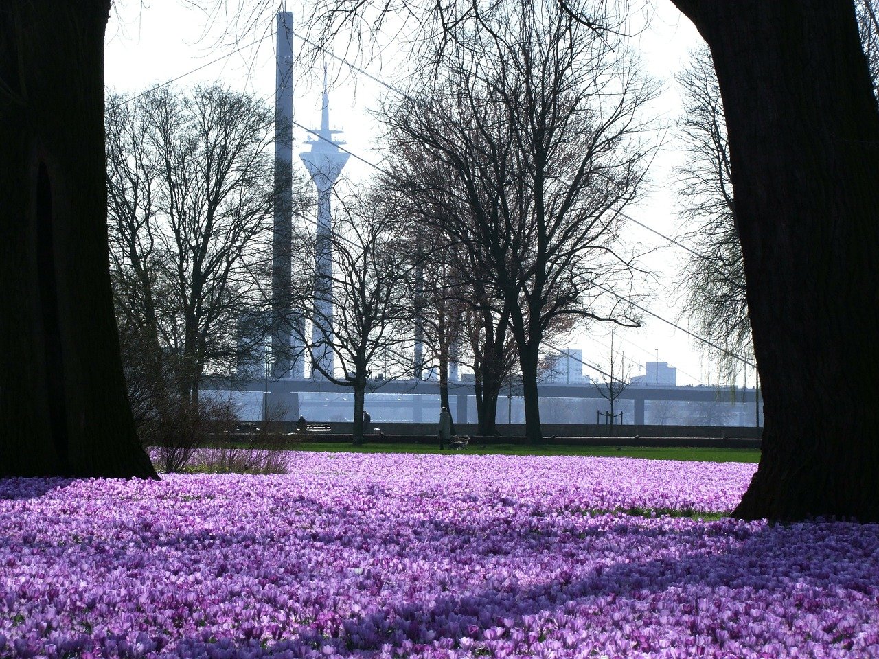 Read more about the article Frühling: Springtime in German