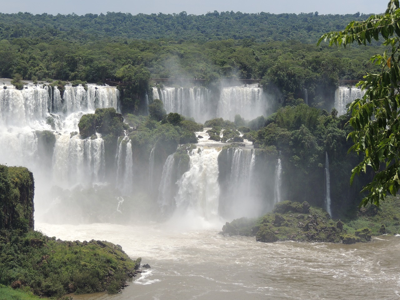 You are currently viewing O Mundo Natural: The Natural World in Portuguese