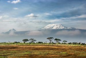 Read more about the article Ulimwengu wa Asili: The Natural World in Swahili