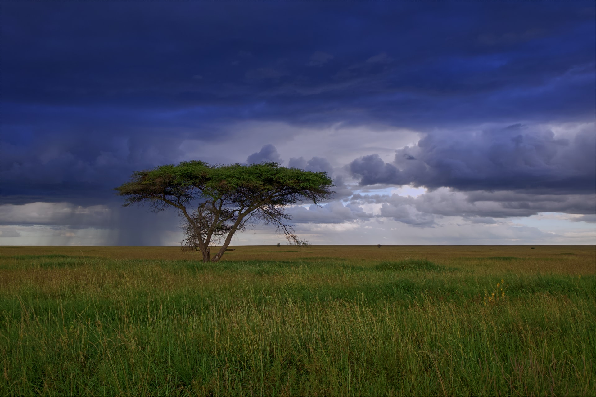 You are currently viewing Hali ya hewa: Weather in Swahili