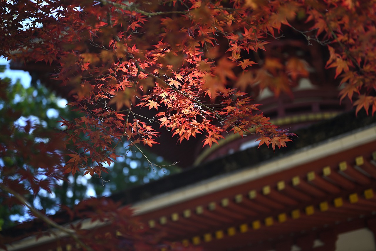 You are currently viewing Celebrating the Autumn Equinox in Japan: Shūbun no Hi