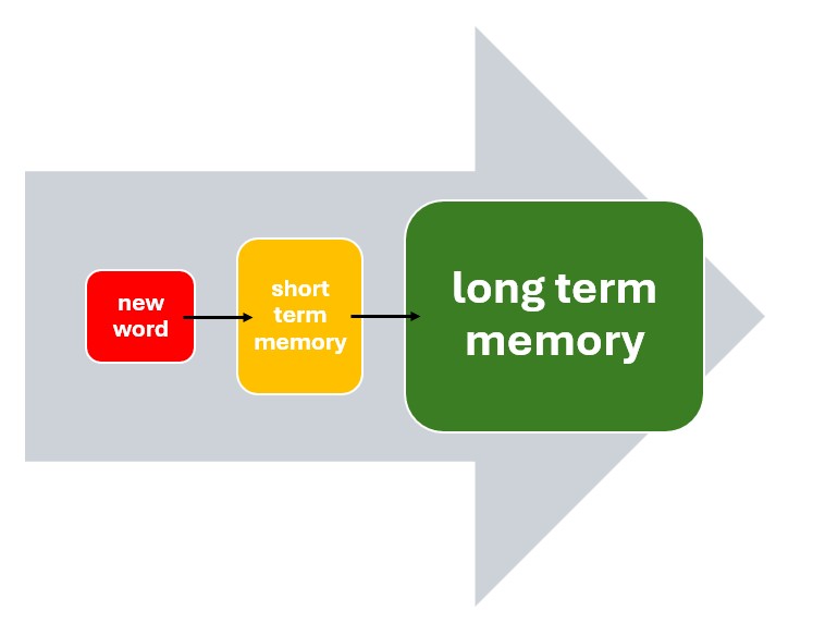 Memorizing vocabulary