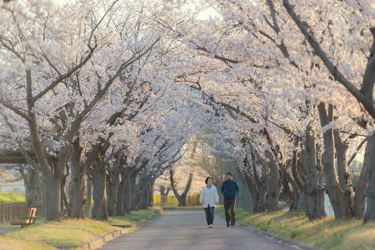 You are currently viewing Japan’s Spring Equinox Festival