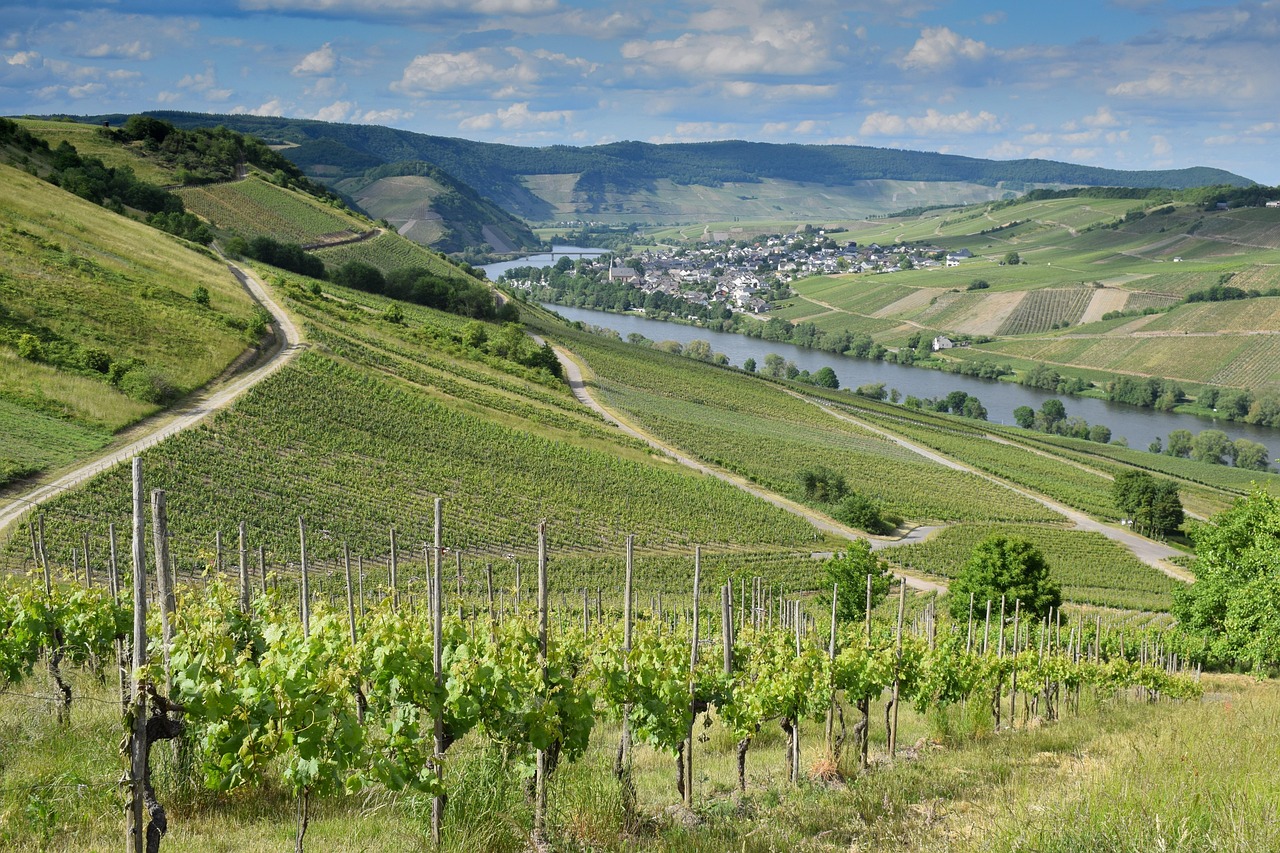 Read more about the article German Wine Festivals