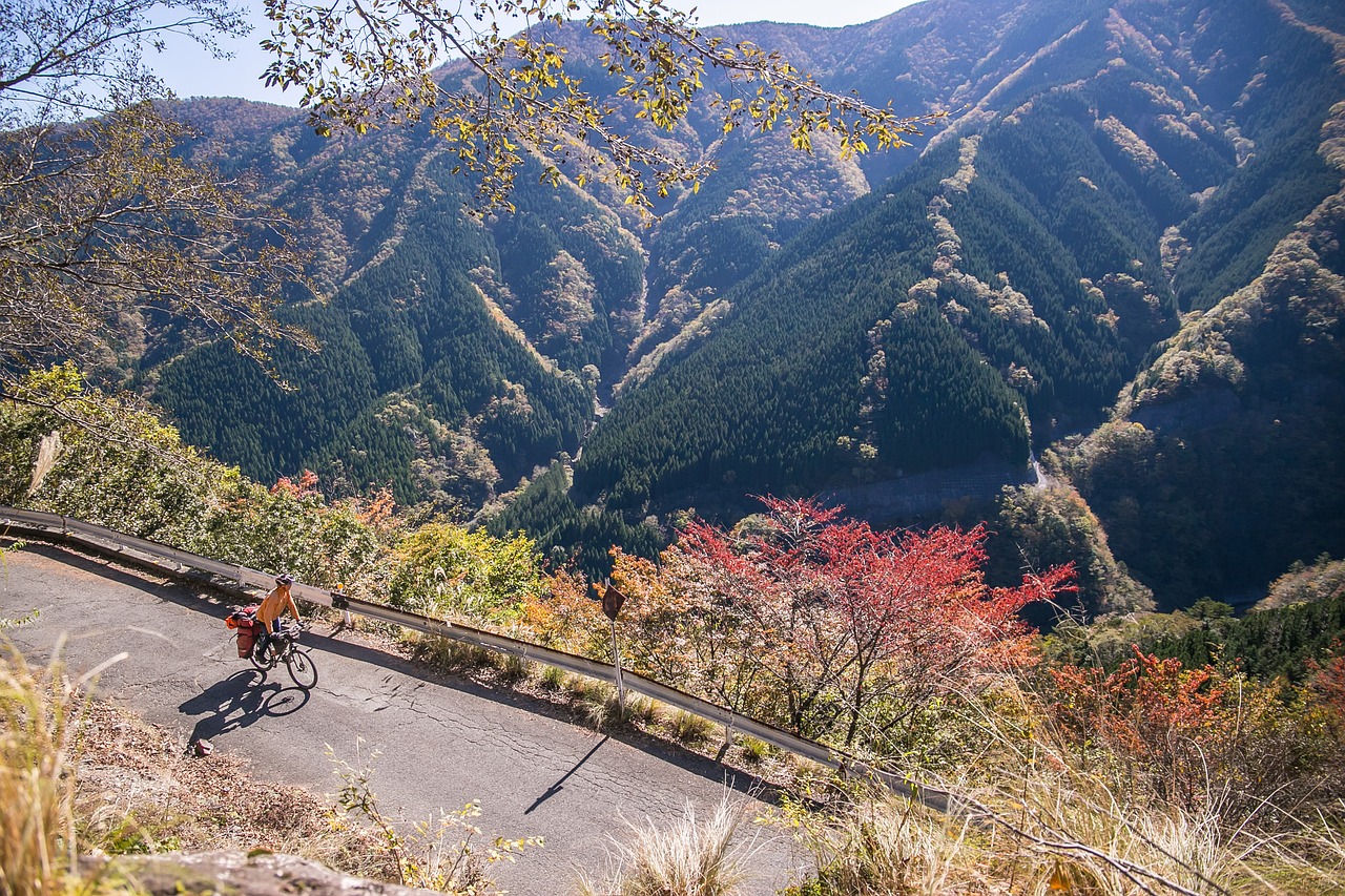 Read more about the article Health and Fitness in Japanese